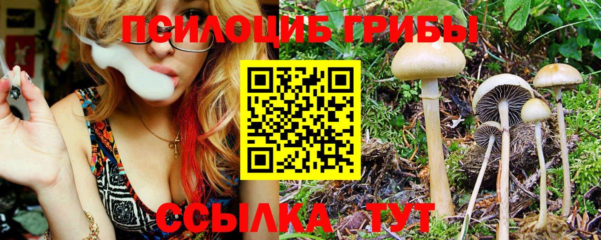 Галлюциногенные грибы мухоморы  Вход с VPN  Галлюциногенные грибы Cubensis  Железногорск 